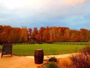 CD Party view out window
